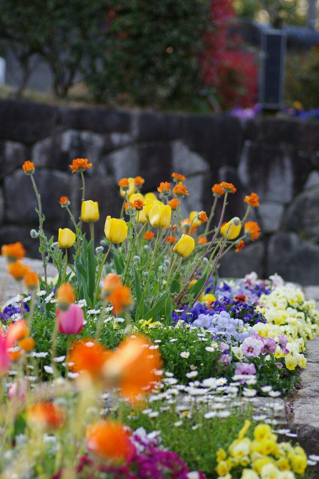 naoki-suzuki-0S-l42ulApY-unsplash